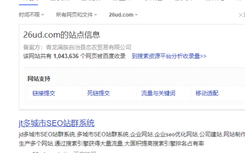 城市分站站群-轻松让你收录破百万