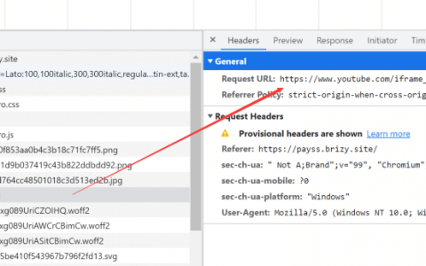 Brizy pro页面生成器 优化
